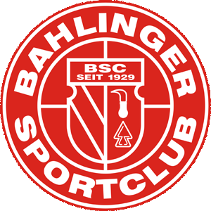 https://img.17baofen.com/img/football/team/1d0a7e53f21734d5d5321265045157a7.png