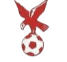 https://img.17baofen.com/img/football/team/4802d26df935b78bb2fcdbbff36e8864.png