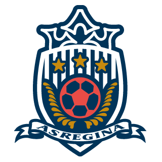 https://img.17baofen.com/img/football/team/8b72fa7b42bbb2dac8f7d558f1dc106d.png